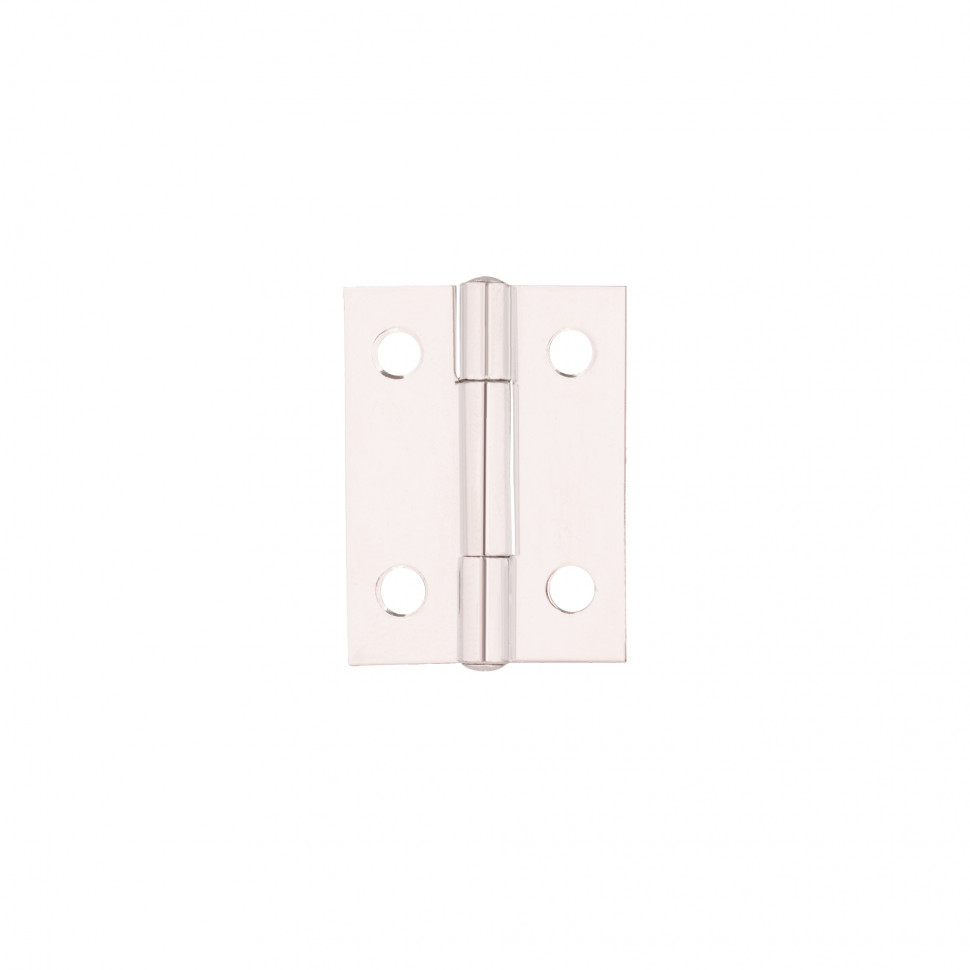 Петля карточная универсальная LM/IN30x40x1U ZN цинк (2 шт)