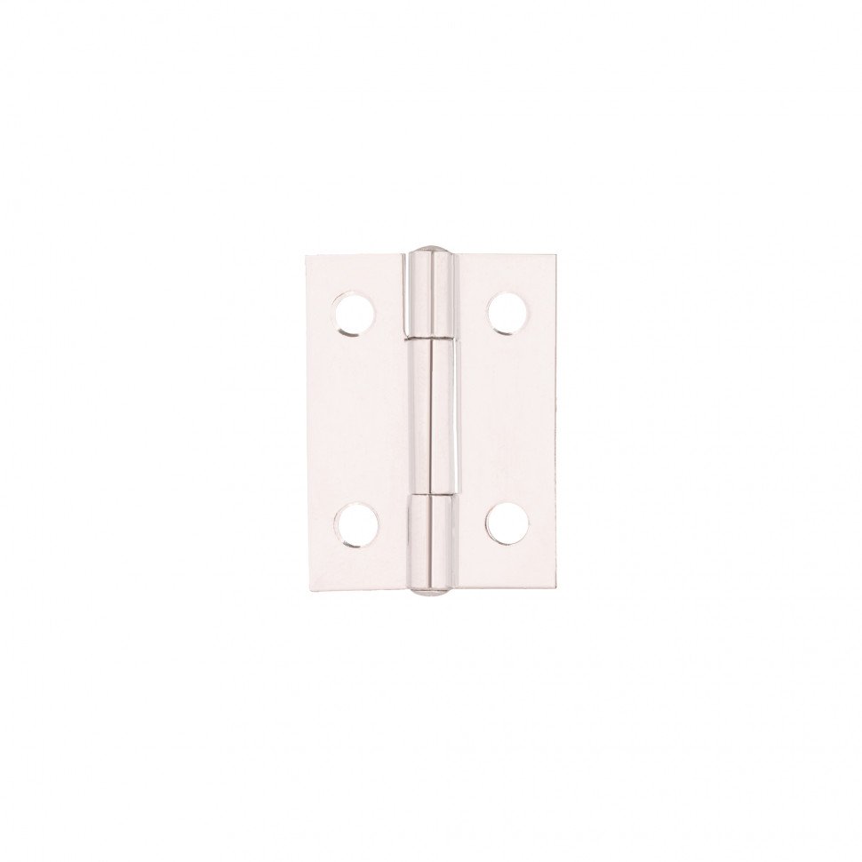 Петля карточная универсальная LM/IN30x40x1U ZN цинк (2 шт)