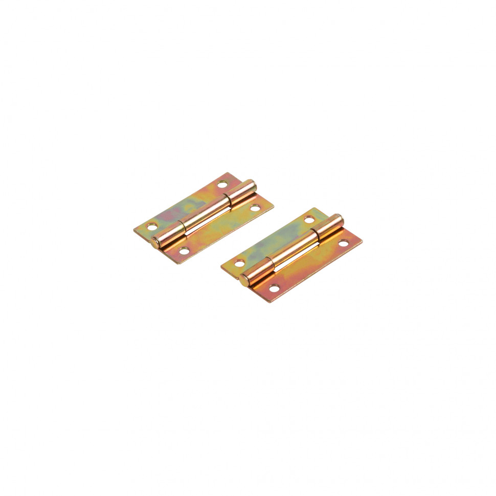 Петля карточная универсальная LM/IN22x35x1U YZN желтый цинк (2 шт)