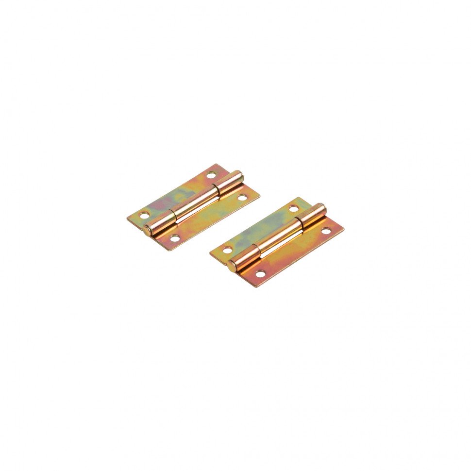 Петля карточная универсальная LM/IN22x35x1U YZN желтый цинк (2 шт)